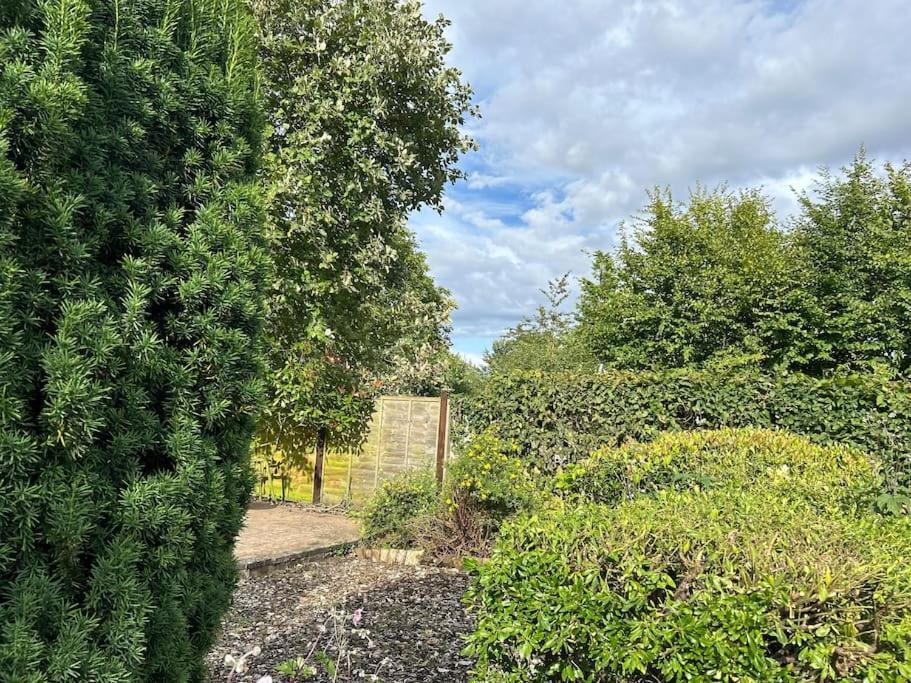 Abacus Cottage Whitwell-on-the-Hill Luaran gambar